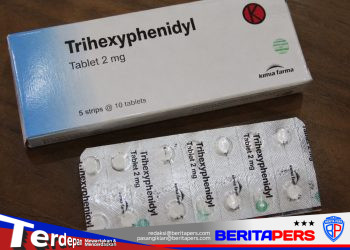 Mahasiswa Soroti Kasus Penyalahgunaan THD di Luwu Timur, Minta Aparat Bongkar Jaringan Pemasok Obat