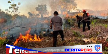 Sigap Atasi Karhutla, Tim SAR Brimob Sulsel Padamkan Api di Dua Lokasi