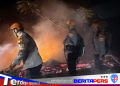 Tim SAR Batalyon B Pelopor Sigap Padamkan Kebakaran Lahan di Parepare