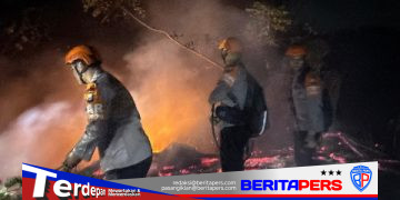 Tim SAR Batalyon B Pelopor Sigap Padamkan Kebakaran Lahan di Parepare
