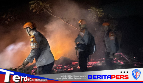 Tim SAR Batalyon B Pelopor Sigap Padamkan Kebakaran Lahan di Parepare