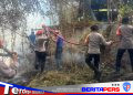 Kebakaran Lahan Mengamuk di Parepare, Tim SAR Batalyon B Pelopor Turun Tangan