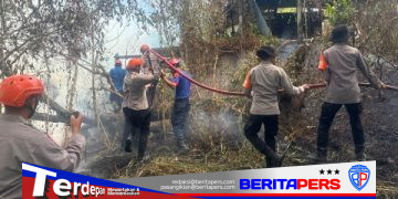 Kebakaran Lahan Mengamuk di Parepare, Tim SAR Batalyon B Pelopor Turun Tangan
