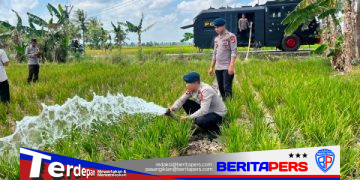 Hari ke 3 Peduli Petani, Batalyon B Pelopor Brimob Kembali Suplai Air ke Sawah Warga di Sidrap