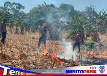 Tim SAR Batalyon B Pelopor Bergerak Cepat Padamkan Karhutla di Kelapa Gading