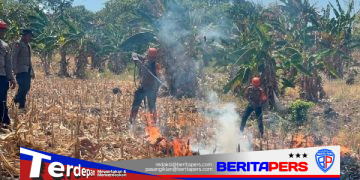 Tim SAR Batalyon B Pelopor Bergerak Cepat Padamkan Karhutla di Kelapa Gading