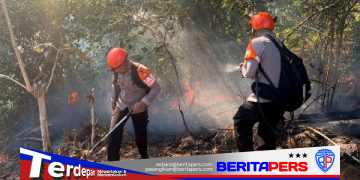 Kebakaran Lahan di Parepare, Tim SAR Batalyon B Pelopor Berjibaku Jinakkan Si Jago Merah