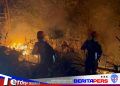 Kebakaran Lahan di Bacukiki Parepare, Tim SAR Brimob Turun Tangan