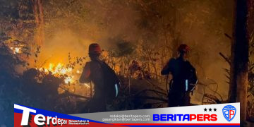 Kebakaran Lahan di Bacukiki Parepare, Tim SAR Brimob Turun Tangan