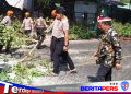Hidayatullah Turun Langsung Pantau Penanganan Pohon Tumbang di Jalan Bau Massepe Cappa Galung