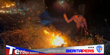 Cegah Meluas, Tim SAR Batalyon B Pelopor Tanggap Padamkan Karhutla di Parepare