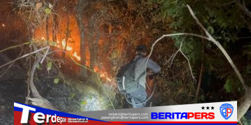 Tim SAR Brimob Batalyon B Pelopor Berjibaku Padamkan Karhutla di Manggimpuru Parepare