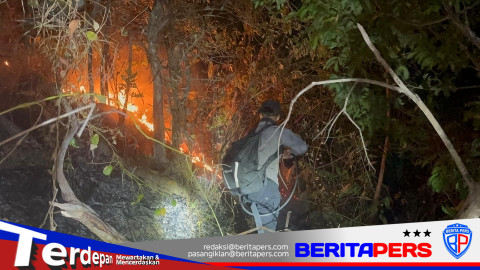 Tim SAR Brimob Batalyon B Pelopor Berjibaku Padamkan Karhutla di Manggimpuru Parepare