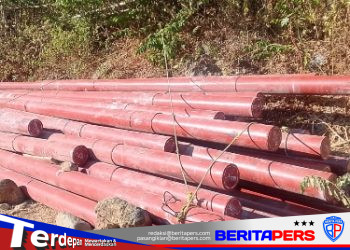 H. Dedi Aryan Gencar Perjuangkan Kelistrikan Warga Lopi-Lopi, Puluhan Tiang PLN Mulai Tiba di Lokasi