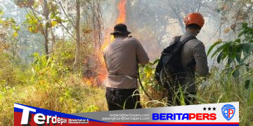 Tim SAR Batalyon B Pelopor Brimob Padamkan Karhutla di Lapadde Parepare