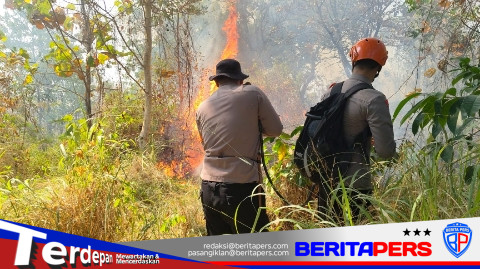 Tim SAR Batalyon B Pelopor Brimob Padamkan Karhutla di Lapadde Parepare