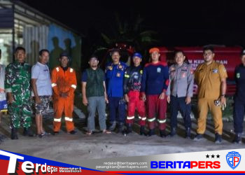 Kebakaran Lahan di Desa Amassangang, Camat Lanrisang Pastikan Api Berhasil Dipadamkan