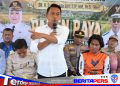 Bupati Syaharuddin Panen Raya di Sumpang Mango, Produktivitas Capai 10,7 Ton per Hektare