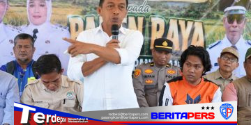 Bupati Syaharuddin Panen Raya di Sumpang Mango, Produktivitas Capai 10,7 Ton per Hektare
