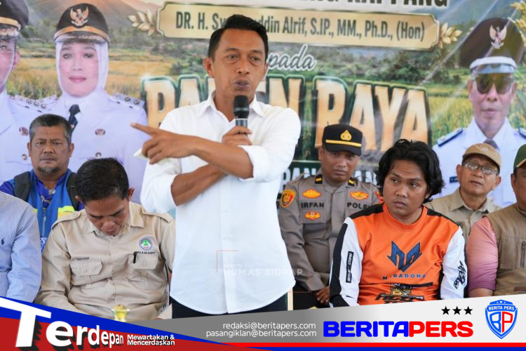 Bupati Syaharuddin Panen Raya di Sumpang Mango, Produktivitas Capai 10,7 Ton per Hektare  