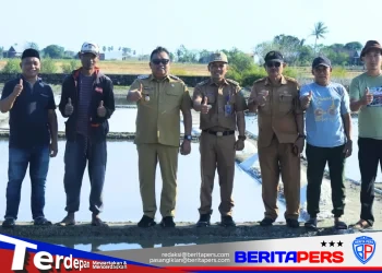 ​Dorong Kesejahteraan Petani Tambak, Bupati Takalar Kunjungi Sentra Produksi Garam Cikoang
