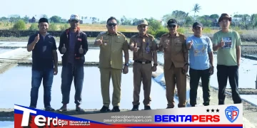 ​Dorong Kesejahteraan Petani Tambak, Bupati Takalar Kunjungi Sentra Produksi Garam Cikoang