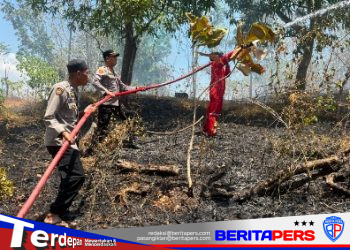 Wakapolsek Soppeng Riaja Pimpin Langsung Pemadaman Kebakaran Lahan Seluas Tiga Hektare di Desa Siddo