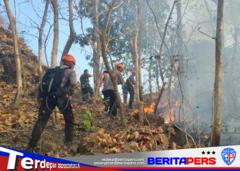 Tim SAR Batalyon B Pelopor Padamkan Karhutla di Kampung Mandar Parepare