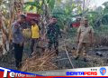 Kebakaran Lahan Seluas 1 Hektare Terjadi di Lerang, Camat Lanrisang Ingatkan Bahaya Karhutla