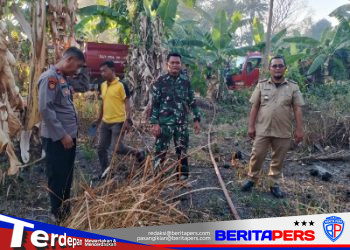 Kebakaran Lahan Seluas 1 Hektare Terjadi di Lerang, Camat Lanrisang Ingatkan Bahaya Karhutla