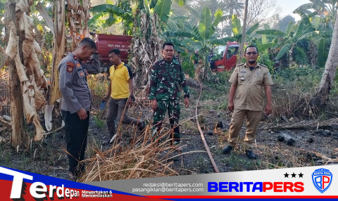 Kebakaran Lahan Seluas 1 Hektare Terjadi di Lerang, Camat Lanrisang Ingatkan Bahaya Karhutla