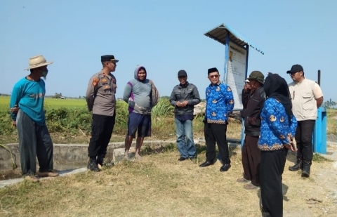 Camat Hasri Hadi dan Kapolsubsektor Irwan Asmadi Tinjau Pertanaman Padi serta Pengaturan Irigasi Barang Palie