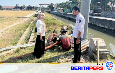 Risnawati Tinjau Warga Terdampak Kekeringan Lahan Pertanian, Pompanisasi Jadi Langkah Antisipasi