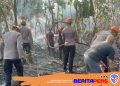 Tim SAR Batalyon B Pelopor Bersama Damkar Parepare Padamkan Karhutla di Bacukiki Barat