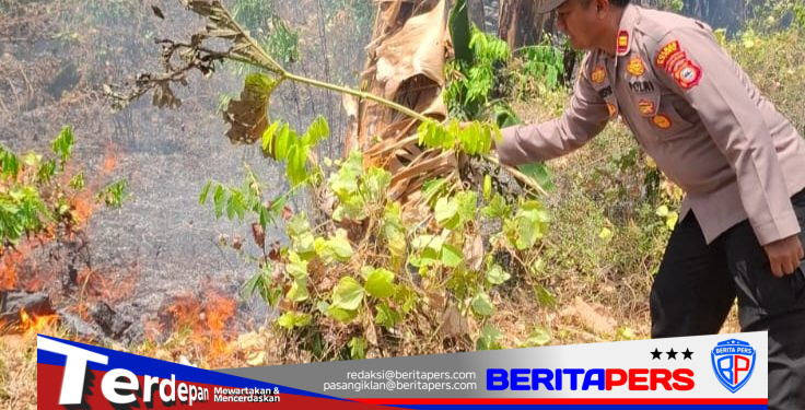 Kapolsek Soppeng Riaja Bersama Tim Gabungan Kendalikan Kebakaran Lahan Dua Hektare di Desa Siddo