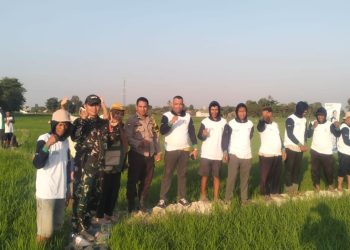 Dukung Swasembada Pangan, Babinsa Koramil Bajeng Dampingi Sosialisasi Aplikasi Antiji di Gowa