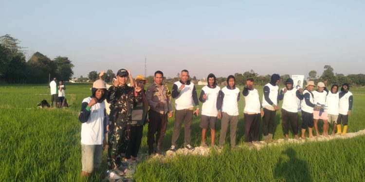 Dukung Swasembada Pangan, Babinsa Koramil Bajeng Dampingi Sosialisasi Aplikasi Antiji di Gowa
