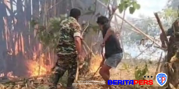Aksi Cepat Babinsa dan Masyarakat Jinakkan Kebakaran Lahan di Parigi Gowa