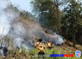 Gerak Cepat Padamkan Kebakaran Lahan di Gowa, Sinergi TNI dan Manggala Agni Buat Hasil Nyata