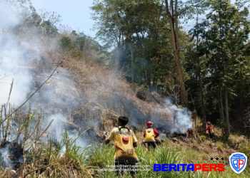 Gerak Cepat Padamkan Kebakaran Lahan di Gowa, Sinergi TNI dan Manggala Agni Buat Hasil Nyata