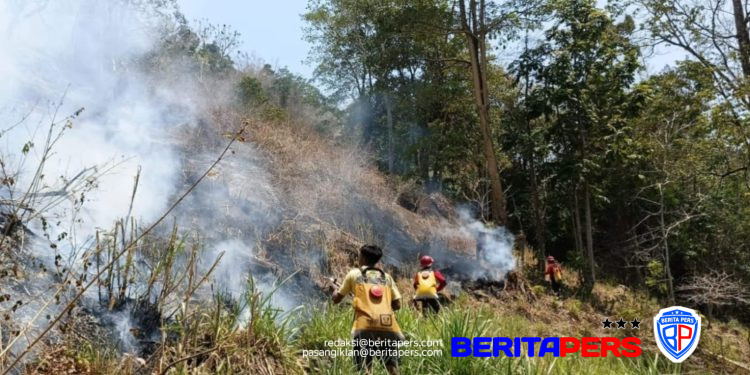 Gerak Cepat Padamkan Kebakaran Lahan di Gowa, Sinergi TNI dan Manggala Agni Buat Hasil Nyata