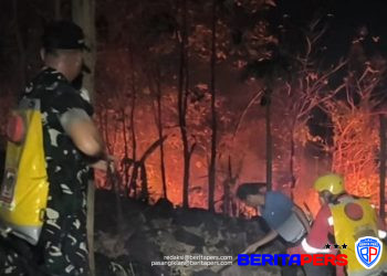 Aksi Heroik Personel Gabungan dan Masyarakat Padamkan Karhutla di Kabupaten Gowa