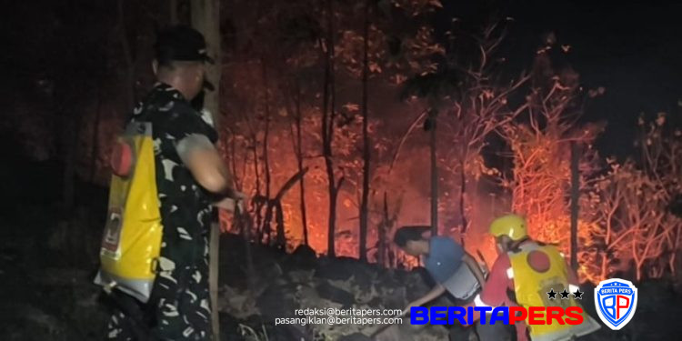 Aksi Heroik Personel Gabungan dan Masyarakat Padamkan Karhutla di Kabupaten Gowa