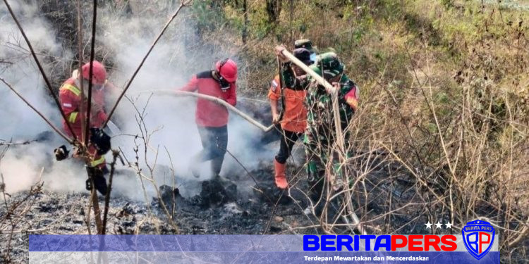 Babinsa Bersama Aparat dan Warga Berhasil Padamkan Kebakaran Lahan Seluas 6 Hektare di Pattapang Gowa