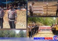 Polres Toraja Utara Gelar Pengamanan dan Pengawasan Tradisi Adat Adu Kerbau di Tondon