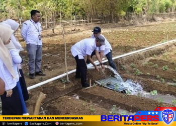 Sumur Bor OPLAH di Marusu Rampung 100 Persen, Dukung Peningkatan Indeks Pertanaman di Atas 10 Hektare