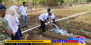 Sumur Bor OPLAH di Marusu Rampung 100 Persen, Dukung Peningkatan Indeks Pertanaman di Atas 10 Hektare
