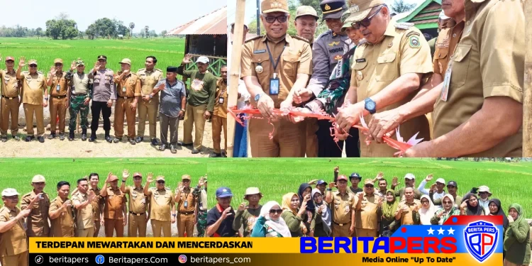 Dongkrak Produktivitas Pertanian, Daeng Manye Resmikan 81 Titik Irigasi Tersier di Takalar