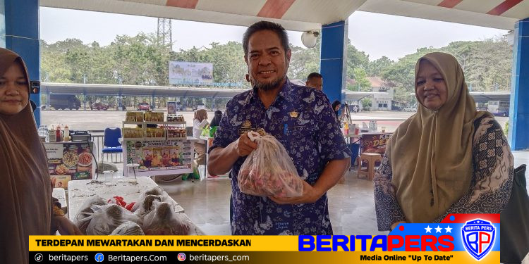 Hadapi El Nino, Dinas Pertanian Maros Salurkan Hampir 500 Pompa Air, 3.000 Hektare Sawah Masuk MT3