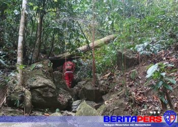 Ramadhan Warga Luwu Timur Masuk ke Hutan Cari Kayu Tak Kunjung Kembali
